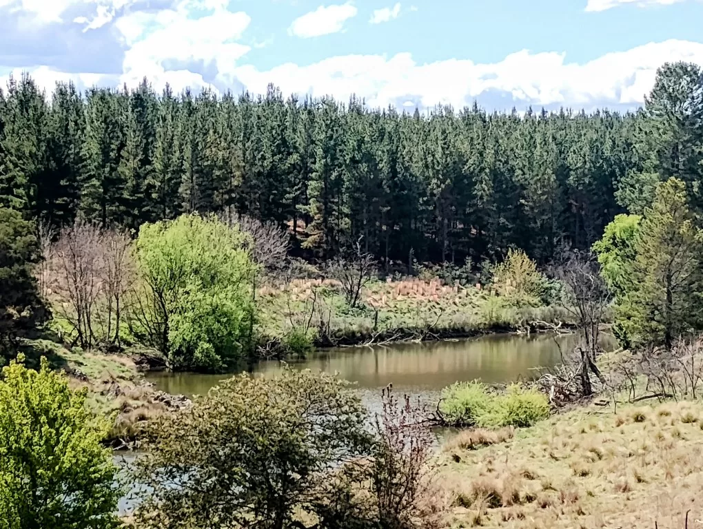 Molonglo river - Canberra nature walk